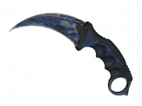 ★ Karambit Bright Water